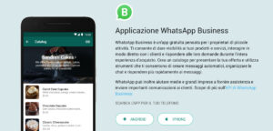 Come Funziona WhatsApp Business: Guida Sintetica Per PMI | Paolo Franzese